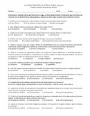 1er examen trimestral de historia universal