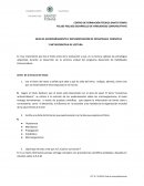 GUÍA DE ACOMPAÑAMIENTO E IMPLEMENTACIÓN DE ESTRATEGIAS COGNITIVA Y METACOGNITIVA DE LECTURA