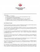 TF - Ingenieria economica Caso: Fábrica de Carteras