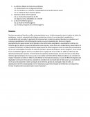 La reforma: Madre de todos los problemas