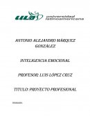 Inteligencia emocional. Proyecto profesional