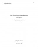 Cultura Organizacional dentro de la empresa