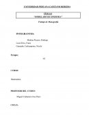 Modelado de epidemia Trabajo de monografía