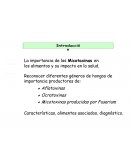 La importancia de las Micotoxinas en los alimentos y su impacto en la salud