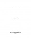 CREACION PLANTA DE PERSONAL DEL CUERPO OFICIAL DE BOMBEROS