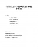 PRINCIPALES PROBLEMAS AMBIENTALES EN CHILE