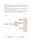 Tecnicatura en Administracion de Empresas Caso Bilt S.A