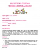 PROYECTO DE CIENCIAS “TIÑIENDO PEQUEÑAS IDEAS”