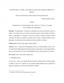 FICCIÓN, MITO Y UTOPÍA. ANÁLISIS CULTURAL DEL SISTEMA JURÍDICO EN MÉXICO