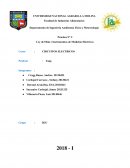 Práctica N° 2 Ley de Ohm e Instrumentos de Medición Eléctricos