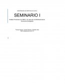 Análisis Financiero de CMPC: Un caso de una Multinacional en Economía Emergente