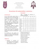 Reporte de RP1