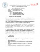 Restructurando tu pensamiento