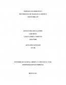 TRABAJO COLABORATIVO 2 METODOLOGIA DE TRABAJO ACADEMICO