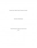 Resumen lectura: Mankiwi Gregory, Principios de Economía