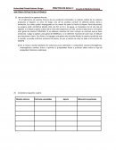 PRACTICA DE AULA 1: MATERIA-ESTRUCTURA ATÓMICA