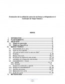 Evaluación de la calidad de carne de res fresca y refrigerada en el municipio de Teapa Tabasco