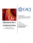 Simuastatin - Atoruastatin (Mecanismo de acción)