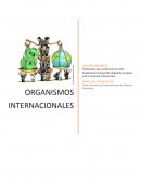 Organizaiones Internacionales