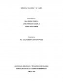 GERENCIA FINANCIERA Y DE VALOR