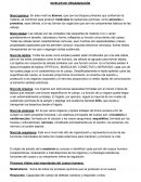 NIVELES DE ORGANIZACIÓN RESUMEN BIOLOGIA