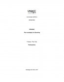 BRANDING ORGANIC Plan estratégico de Branding