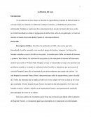 Esquizofrenia. La Historia del Loco
