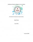 Efectividad de los detergentes para quitar manchas