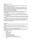 DELINCUENCIA ORGANIZADA EN MÉXICO