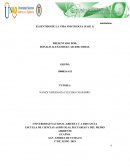 EXPERIENCIA DE VIKTOR FRANNKL EN LOS CAMPOS DE CONCENTRACION