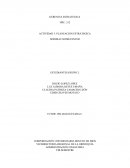 Actividad Planeacion estrategica Sodimac Homecenter