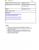 Diseño organizacional-actividad 1 Grupo Bimbo