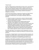 Trabajo decente ensayo