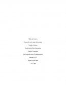 Psicología de niñez y la adolescencia