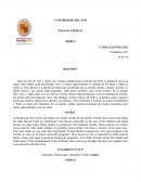 ENSAYO CRÍTICO “ROMA”