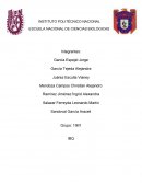 ANALISIS DE CASOS “DEL RIGOR ALEMAN AL DESASTRE NAZI”