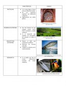 Aportaciones de la mediana y pequeña empresa (mype) a la sociedad