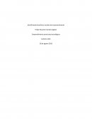 Emprendimiento productos tecnológicos IntAR21