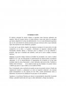 Análisis Empresa Prisco