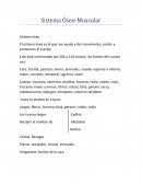 Sistema Oseo-muscular