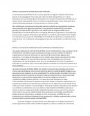 Diseño y entrenamiento de Redes Neuronales Artificiales