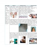 Diabetes mellitus proceso fisiopatologico