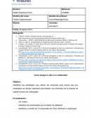 ACTIVIDAD 3 Diseño Organizacional