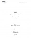 ANÁLISIS, DIAGNÓSTICO Y ESTRATEGIA “Café Madame Grace”