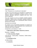 Evidencia de Producto. Taller “Planeación de un recorrido por la naturaleza"