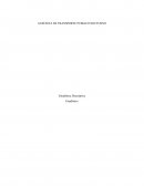 AUSENCIA DE TRANSPORTE PUBLICO NOCTURNO