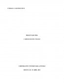 Caso Practico U3_Análisis Financiero