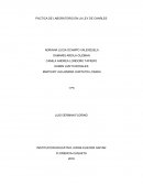 PACTICA DE LABORATORIO EN LA LEY DE CHARLES