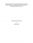 Localizacion planta e inventario