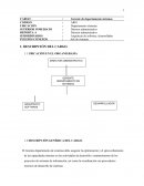 Analisis de cargos. Gerente de departamento sistemas